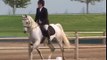 Oles Tango Arabian Sport Horse Nationals 2012