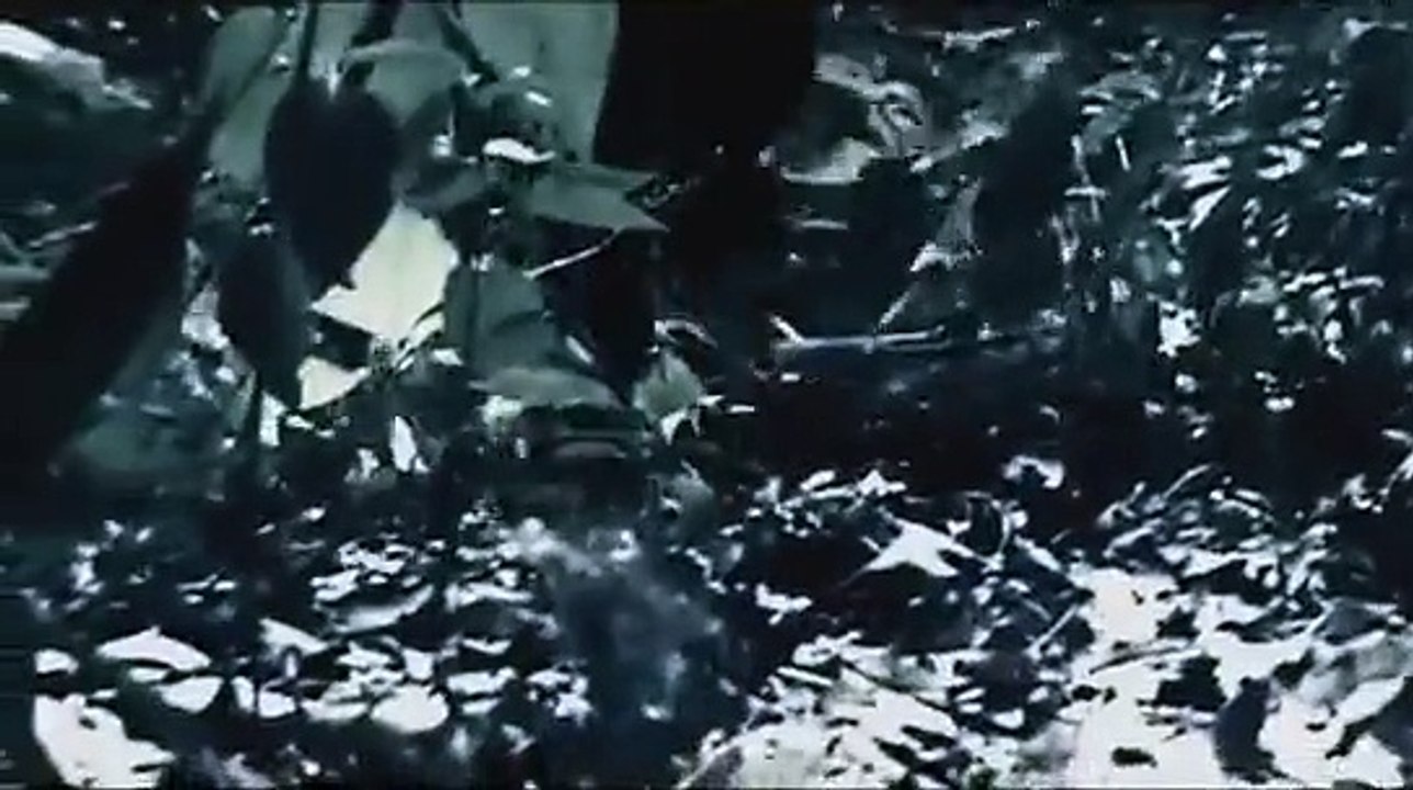 Horror - Forest Chase Scene