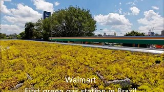 Apresentação ATV Brasil - Panorama dos telhados verdes no Brasil