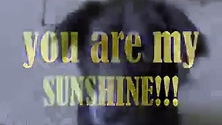 Sasha MV: You Are My Sunshine
