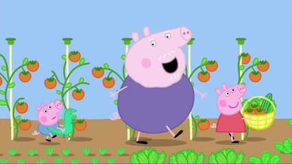 PEPPA PIG - LUNCH HD S01E34