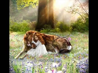 A Thousand Years (Part 1 & 2): Twilight Pairs & Twilight Lines Tribute