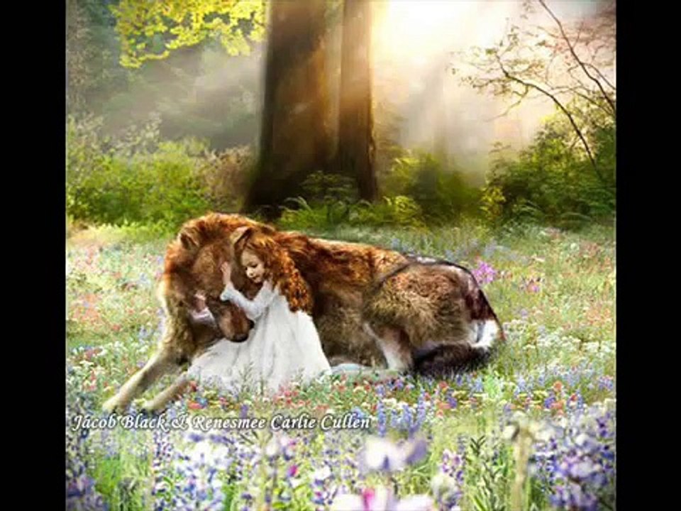A Thousand Years (Part 1 & 2): Twilight Pairs & Twilight Lines Tribute