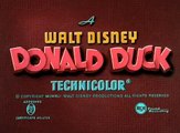 Donald Duck Cartoon - 35 Donalds Camera Donald Duck Cartoons