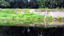 YB Normal Fishing For Peacock Bass In Delray Beach Florida