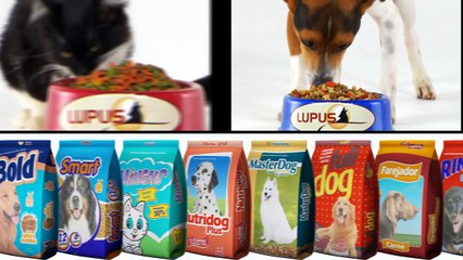 LUPUS ALIMENTOS - INSTITUCIONAL