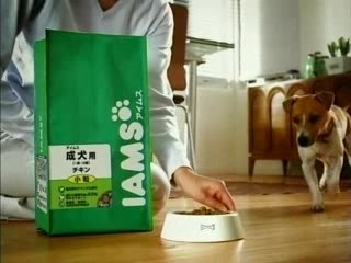 Pub japonaise pour mon clebs