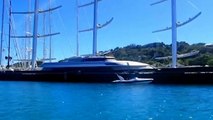 The Maltese Falcon Carib