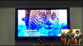ANIMAL FACE-OFF: Anaconda vs. Jaguar