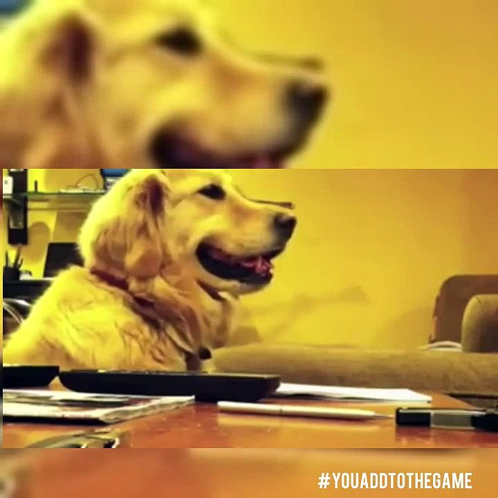 "Back2Queens" #freakykah #21quest #legacy95music #hiphop #newmusic #youaddtothegame