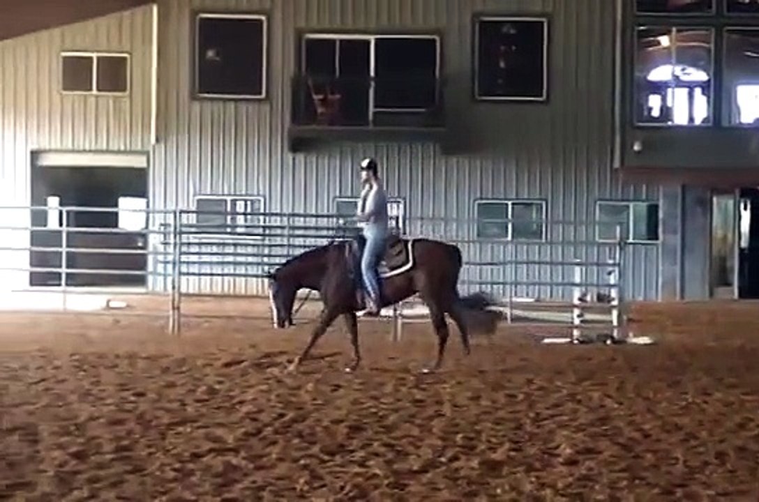 A Classy Chex - ***SOLD***