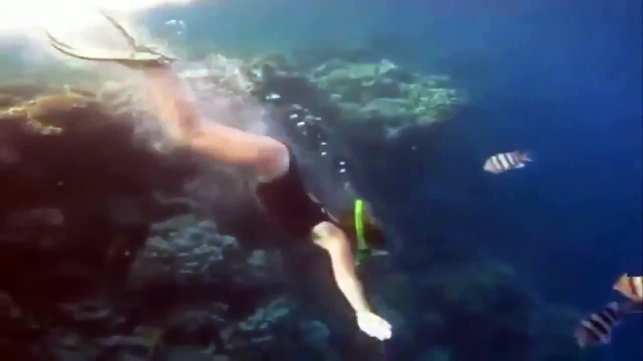 Real Life Mermaid & Underwater Performance Arti...
