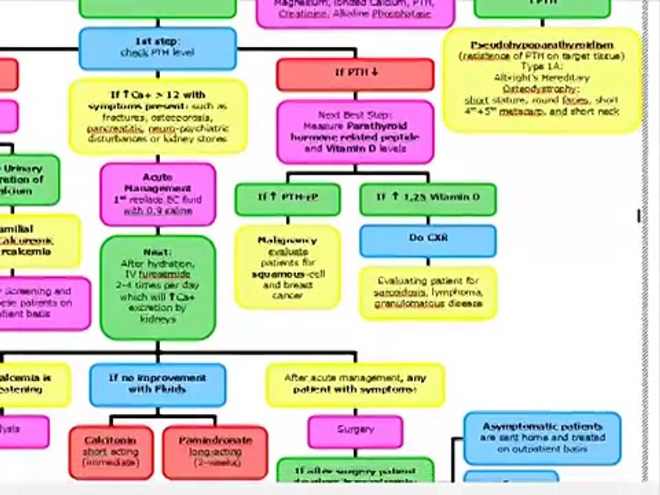 USMLE ALGORITHMS: Primary Hyperparathyroidism