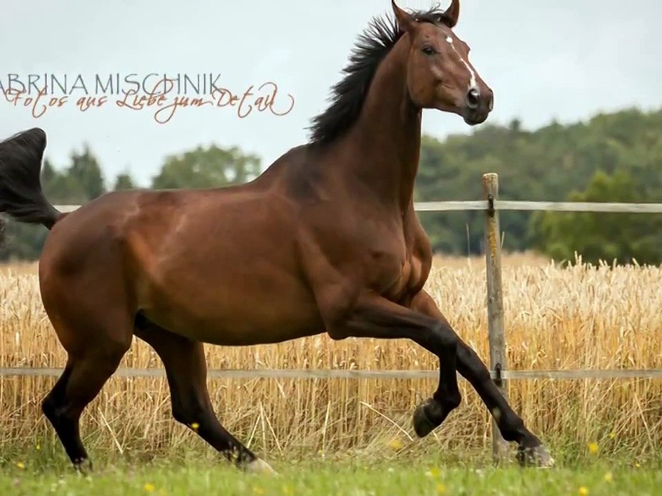 Fotoshooting in der Schweiz