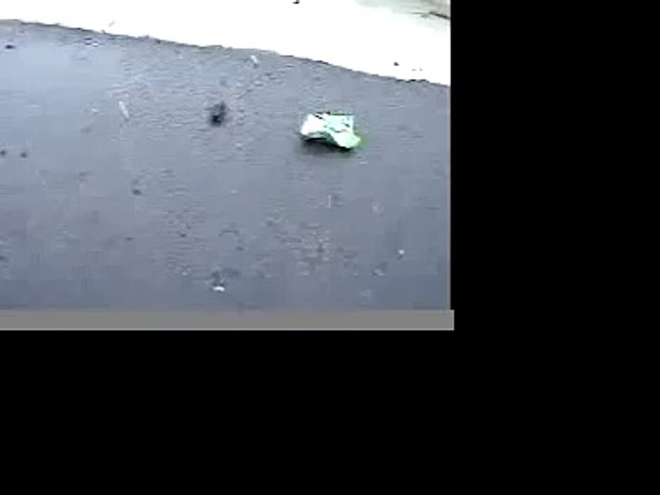 UGly BUG