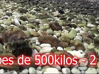 deminage Bombe et obus pointe du HOC avril 2009