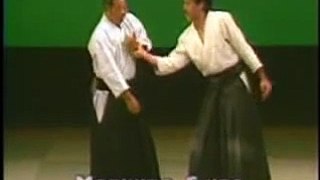 Aikido Friendship Demo