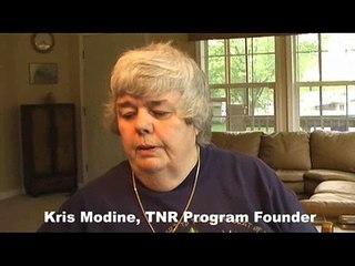 Trap-Neuter-Return at Willow Lake Estates