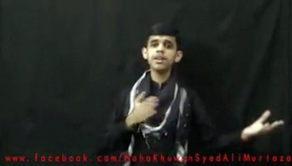 Karbal Basany Waly Mera Salam - Noha by Syed Ali Murtaza