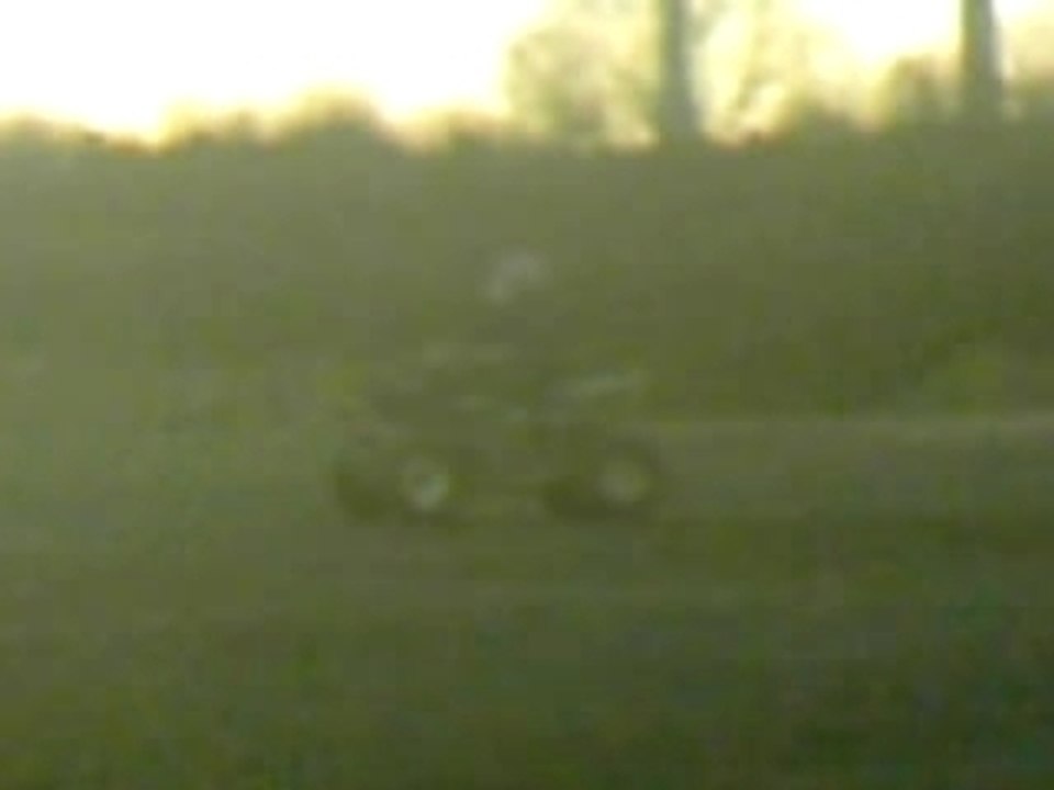 raptor pied sur le guidon par zimzim49