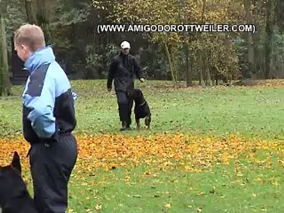 GHPII - ThankU (Working Trial - Prueba de trabajo)