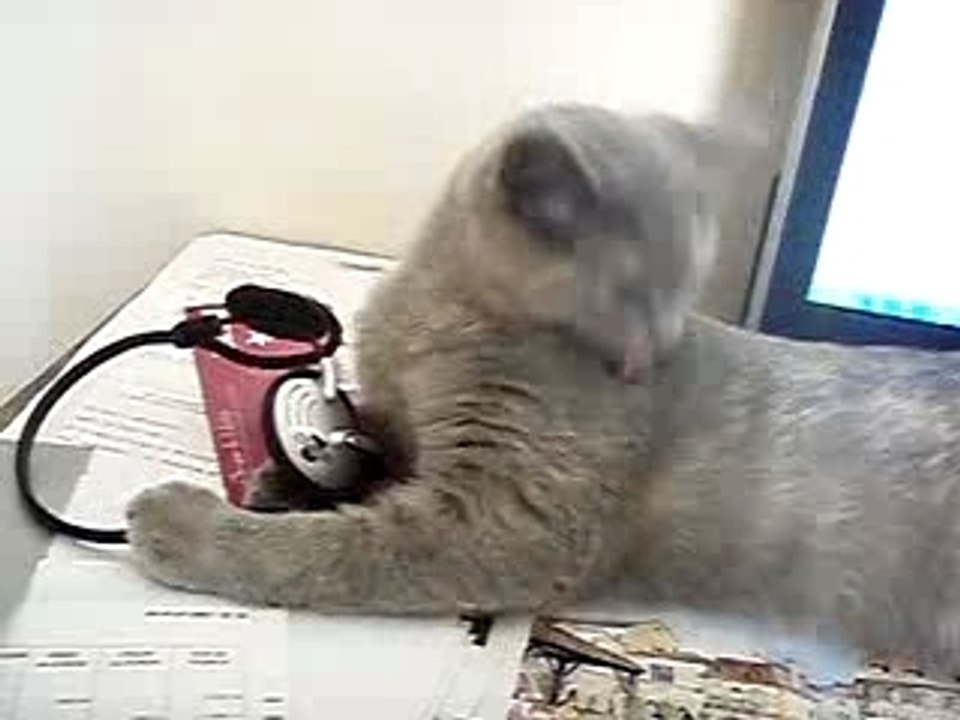 mangeuse de casque