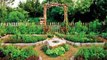 Small backyard vegetable garden design ideas
