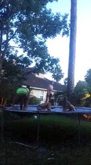 trampoline-slip-'n'-slide