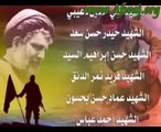 فيديو لشهداء حركة أمل  حرب تموز 2006 juli war lebanon south