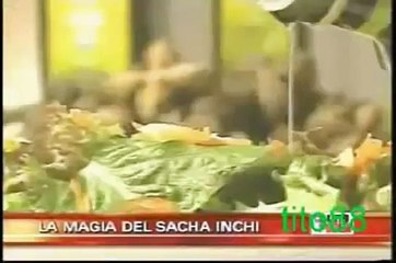 Aceite de Sacha Inchi Inca Inchi gana como El mejor aceite del Mundo