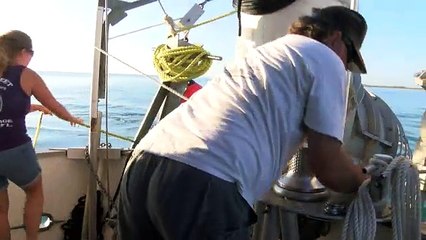 El millonario negocio familiar de cazar tesoros en Florida