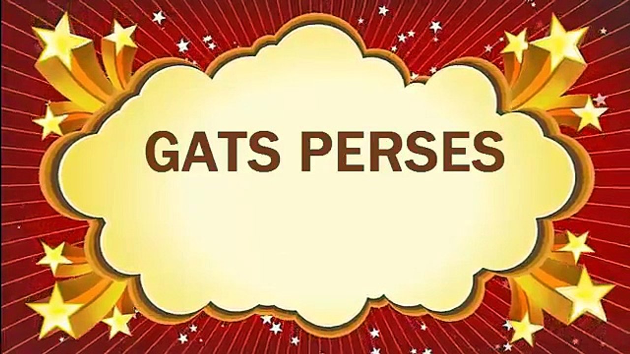 (Documental)[Gatos Persas]{Todo sobre los gatos persas} Por Mario Serna