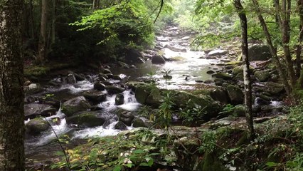 Little River on the Little River Trail.
