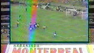 carlos hermosillo vs François Omam-Biyik campeonato de goleo 1994-95