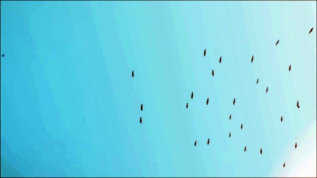 The Witcher 3 Wild Hunt - Hearts of Stone teaser - PS4, Xbox One, PC