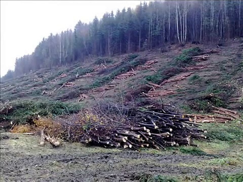 Těžba dřeva Hardforest dálnice Kralovany Skidder  HSM-805