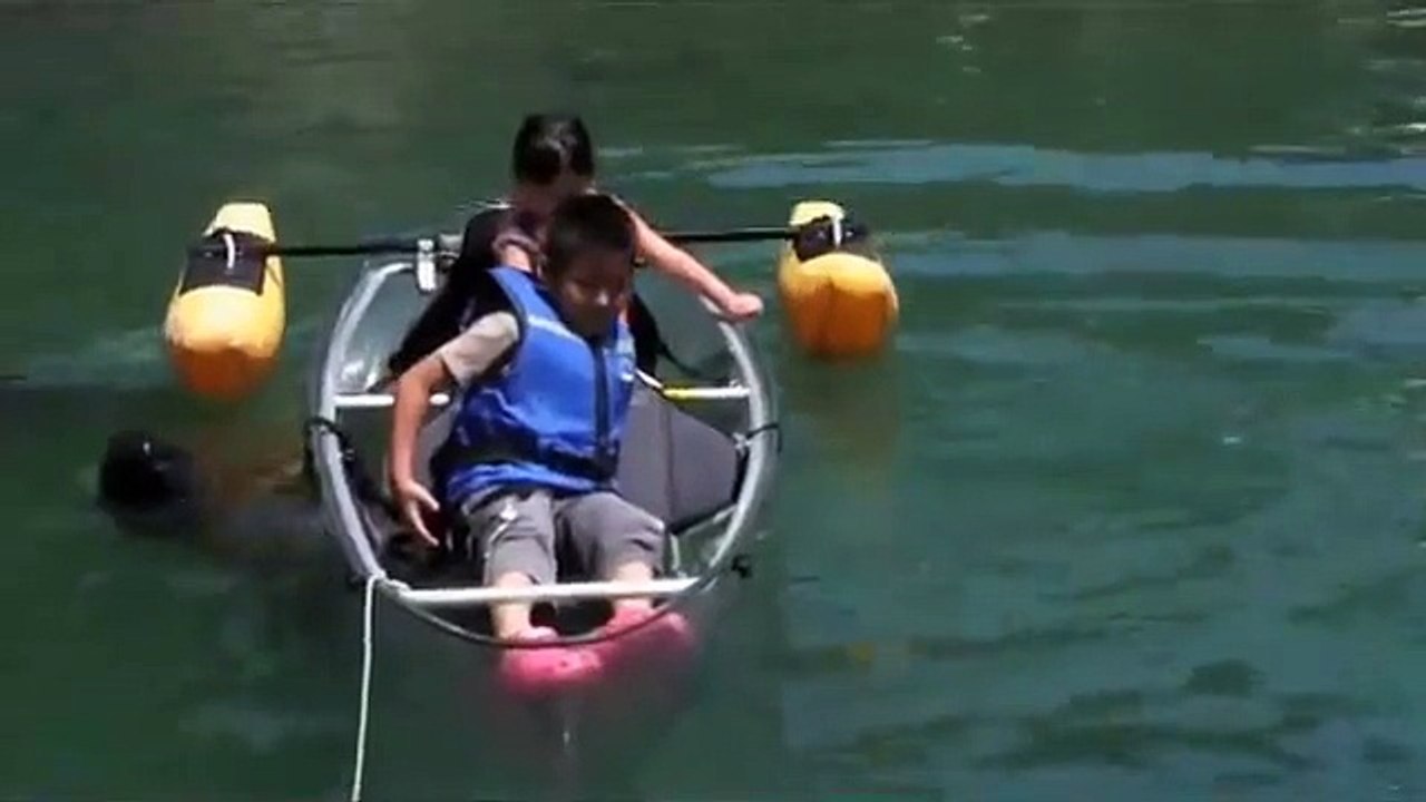 A whale swimming with children （Japanese）