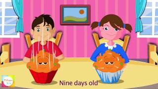Pease Pudding Hot Pease Pudding Cold Nursery Rhyme   Cartoon Animation Songs For Children