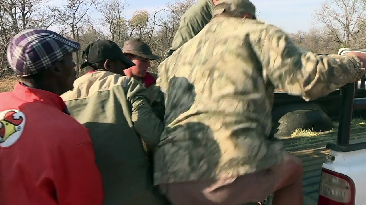 Wildtierzucht in Südafrika - ein lukratives Geschäft