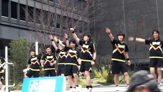 早稲田大学SHOCKERSによる応援１　東京マラソン2012