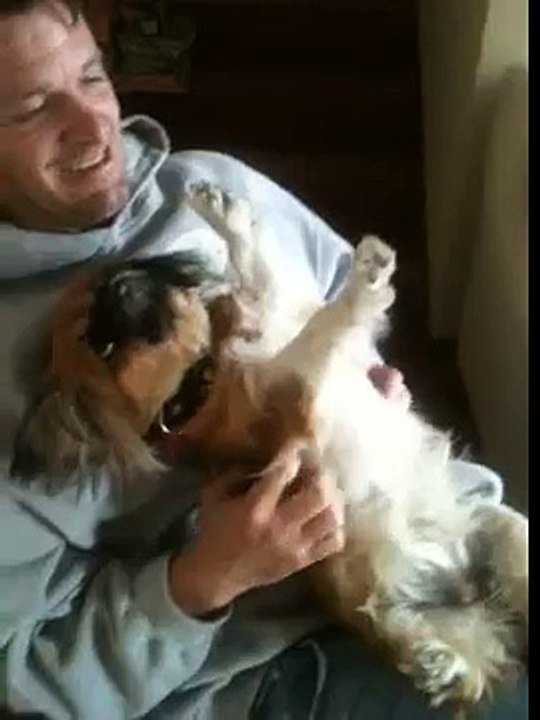 Ellen degeneres funny animals