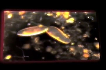 KYMATICA: Shadow Self: Awakening - Knowing / Accepting Self