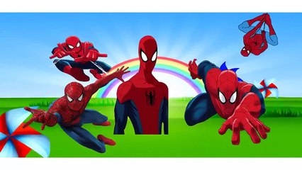 Spiderman Finger Family Nursery Rhymes for Children & Kids Songs