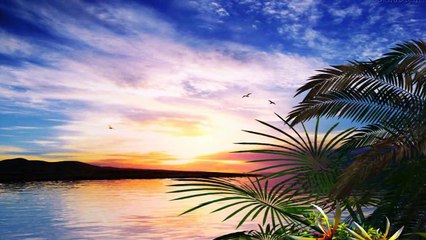 Cem ovelhas (Legendado) - Ozéias de Paula