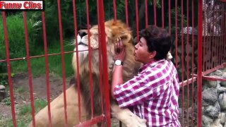 Funny Videos Funny Animal Best compilation 2015 1 | funny animals compilation