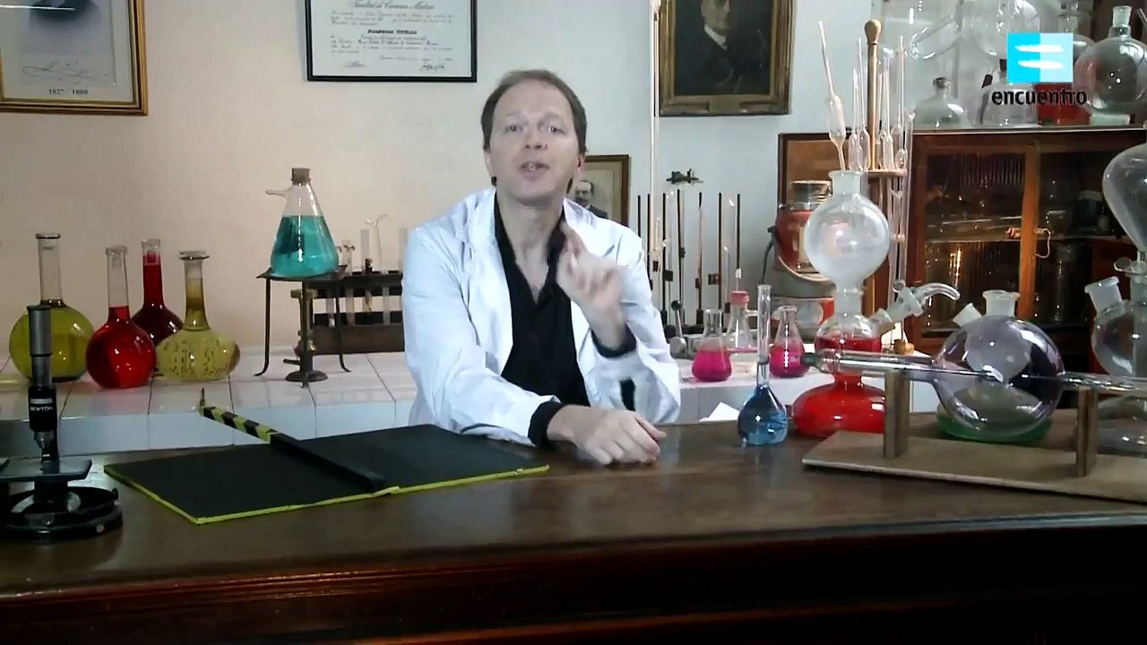 Hematomas Coloridos - Ciencia a lo Bestia - Proyecto G