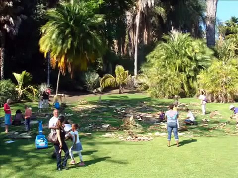 The Big Draw at The Huntington, Oct. 2, 2010