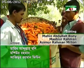 CHI MATI O MANUS 1 1