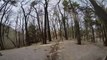 Dog Day Afternoon - Hiking Silver Lake Sand Dunes