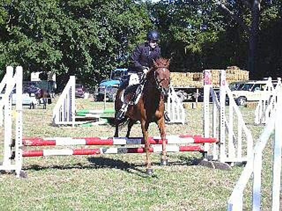 horses and ponies jumping!!! x